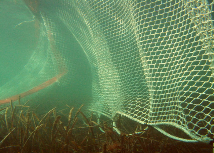 Filet préventif de protection des plages BEACH BOOM